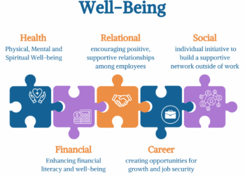 Organizational Well-Being: A 5 Pillar Framework — Divequify